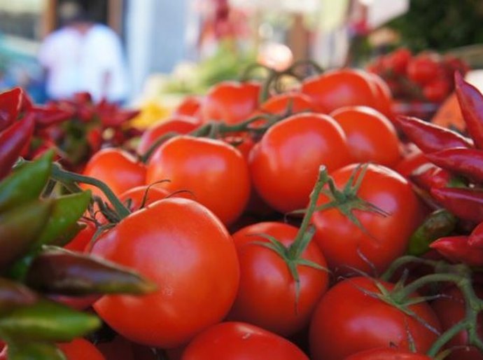 Sesc/AL promove o Seminário de Segurança Alimentar e Nutricional