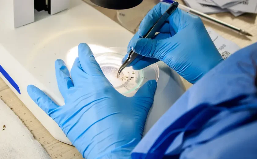 Ministério da Saúde e Conasems oferecem curso gratuito