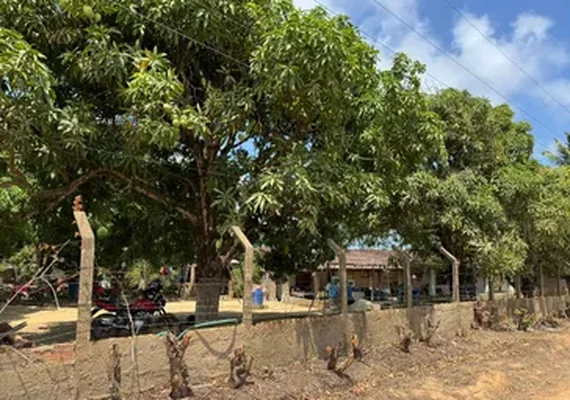 Morador denuncia invasão e destruição de área de preservação ambiental em Riacho Doce