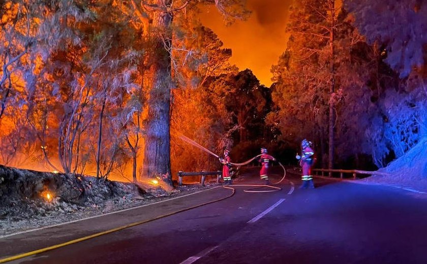 Após incêndios, nativos do Havaí realizam rituais para recuperar terra devastada pelo fogo