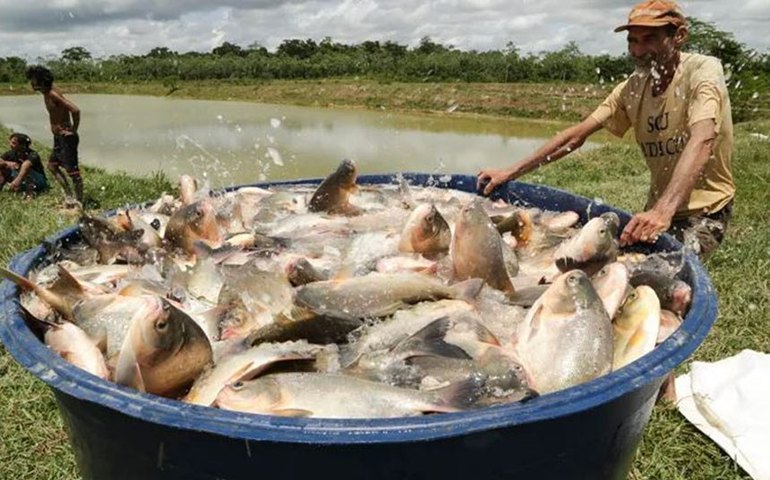 CCJ pode votar ampliação do seguro agrícola para outras atividades rurais