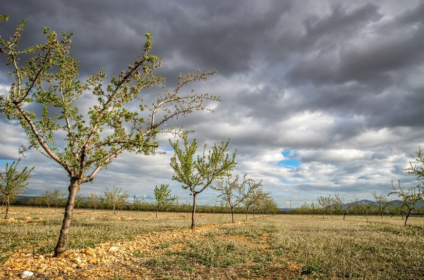 SNF inicia agenda de resiliência climática diante das projeções de intensificação do El Niño