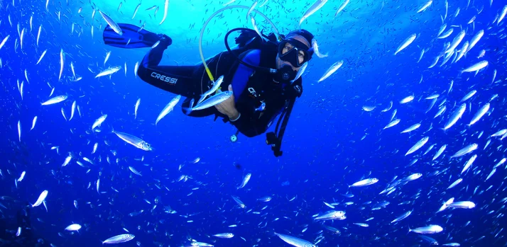 Um estado inteiro de possibilidades para viver nesta Páscoa