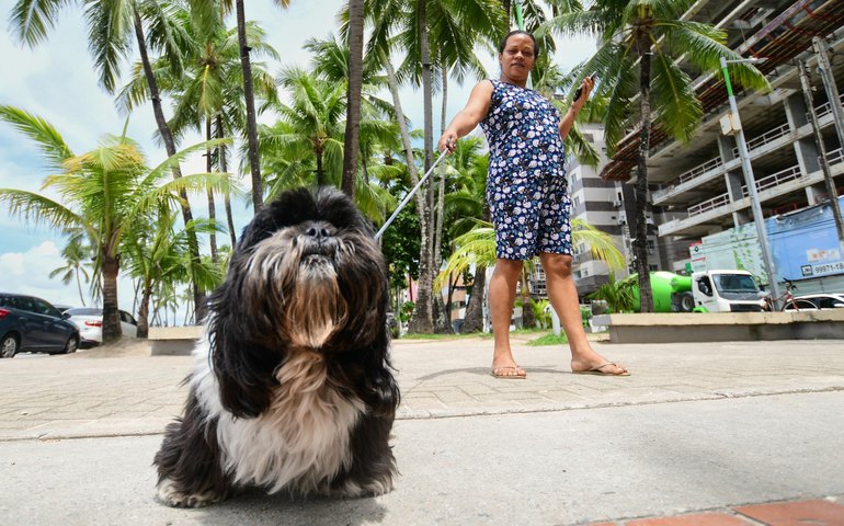 Sesau alerta sobre a importância da vigilância e controle de doenças transmitidas entre animais e seres humanos