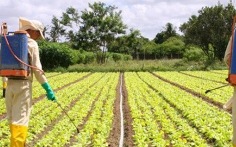 Arapiraca: Estudantes da Uneal recebem capacitação sobre uso de agrotóxicos
