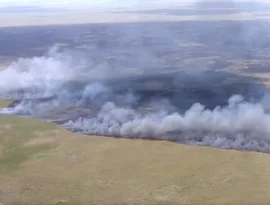 Incêndios florestais na Geórgia e na Flórida destroem mais de 50 casas e forçam evacuações