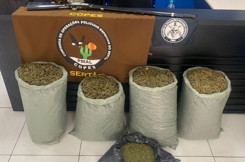 Polícia Militar apreende quase 32kg de maconha no Sertão de Alagoas