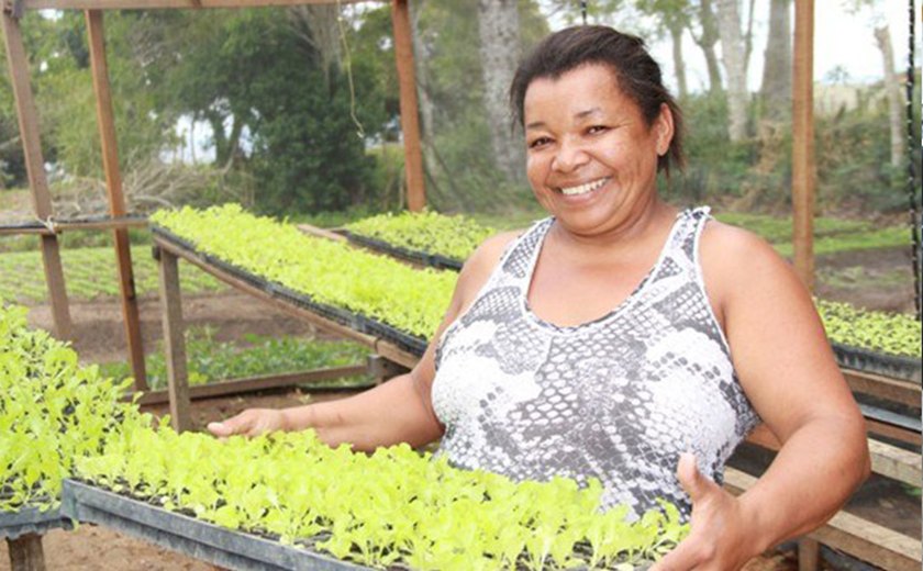 Agricultura familiar é fortalecida através de cooperativas