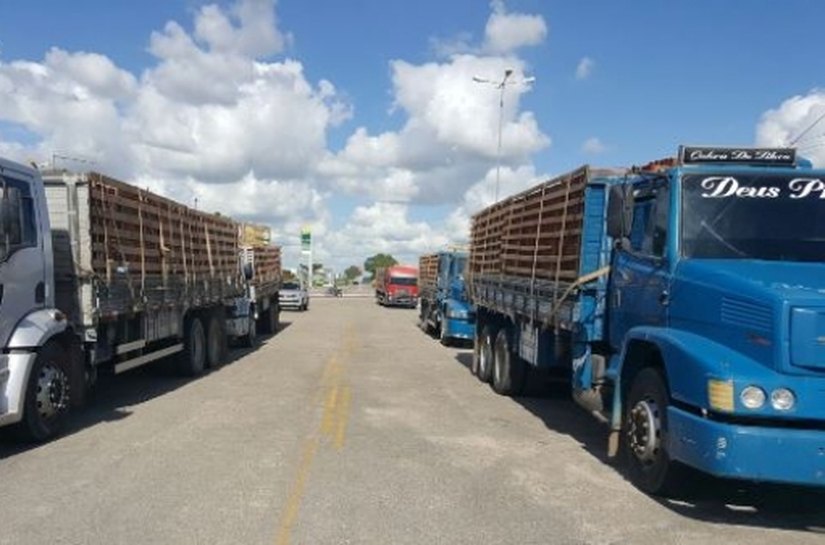 Sefaz autua carregamentos com 60 mil tijolos sem documento fiscal