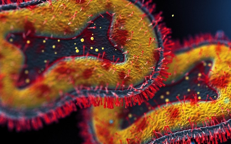 Argentina descarta mpox em navio que saiu do Brasil