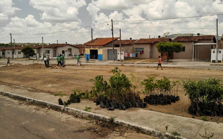 Mata ciliar é recomposta e residencial ganha áreas verdes em Palmeira dos Índios