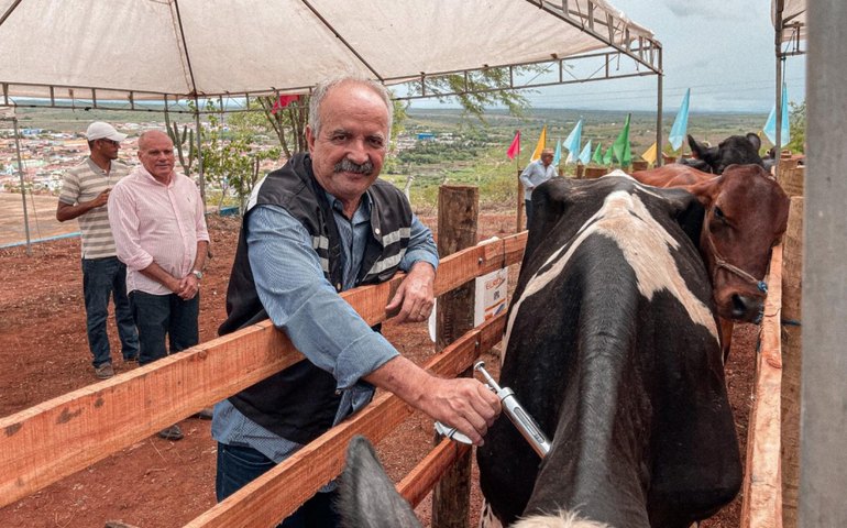Adeal inicia oficialmente a camapanha vacinação contra Aftosa de 2022