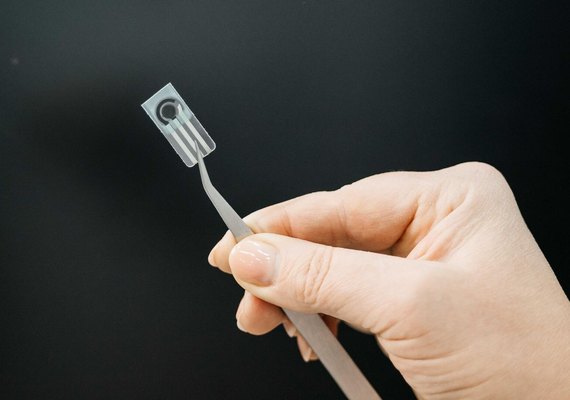 Rússia desenvolve sensor para detectar pesticidas em alimentos (FOTOS)
