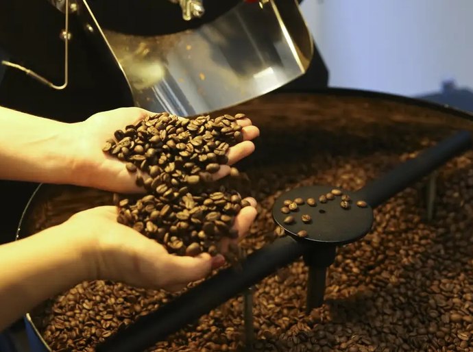 Setor cafeeiro pode ser forçado a redirecionar produção, diz Cepea/USP