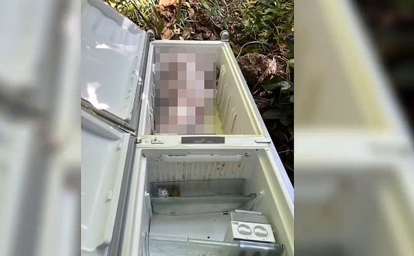 Delegado diz que filha de mulher encontrada morta dentro de geladeira demonstrou frieza em depoimento