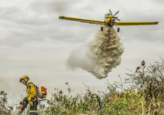 Trump suspende financiamento da USAID para combater incêndios florestais no Brasil