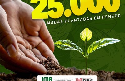 Projeto Penedo Mais Verde planta mais de 25 mil mudas de árvores da Mata Atlântica