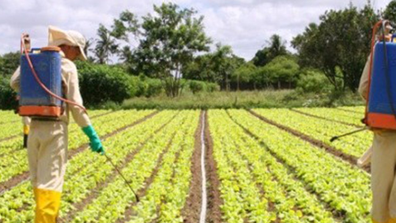 Arapiraca: Estudantes da Uneal recebem capacitação sobre uso de agrotóxicos