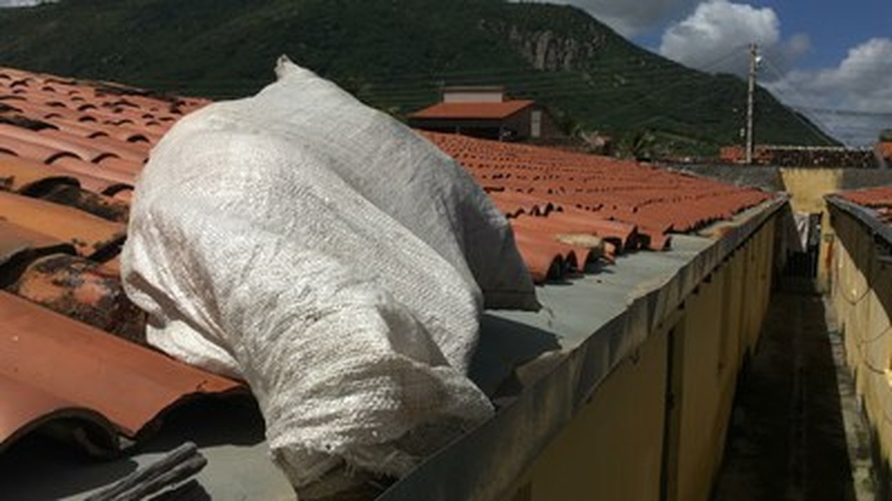 IML de Arapiraca confirma causa da morte de menina encontrada dentro de um saco