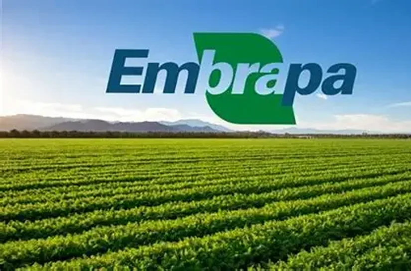 Embrapa apresenta estratégias agropecuárias contra os impactos do El Niño nas cinco regiões do país