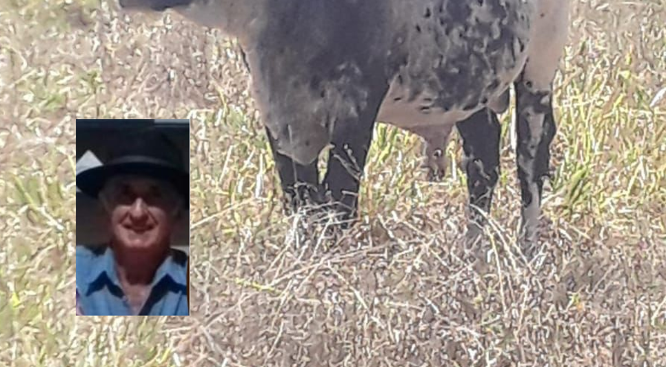 Idoso morto por boi / Foto: Reprodução / redes sociais