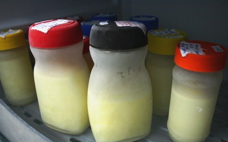 Blitz da Amamentação vai abordar motoristas em frente à Santa Mônica