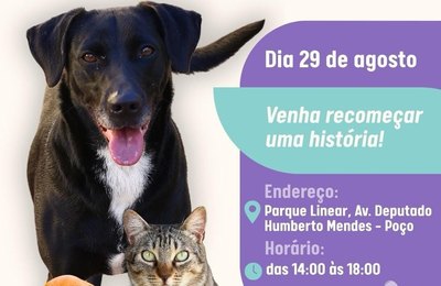 Bairro do Poço recebe feira de adoção de animais neste sábado