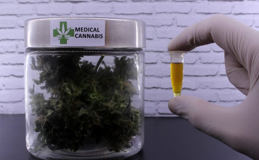 Comissão debate apoio a associações civis dedicadas à cannabis medicinal