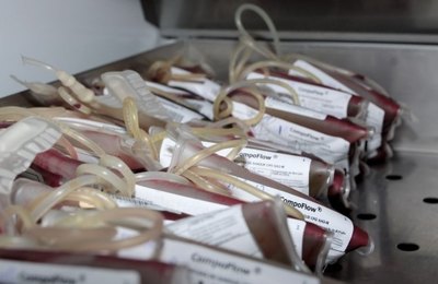 Estoque de sangue do Hemoal é considerado crítico para o Réveillon