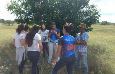 Estudantes dão novo uso a plantas palma e juá e criam alternativa para cuidado de cabelos em Palmeira
