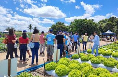 SemearTec leva tecnologia e informações em hortifruti aos agricultores do Nordeste