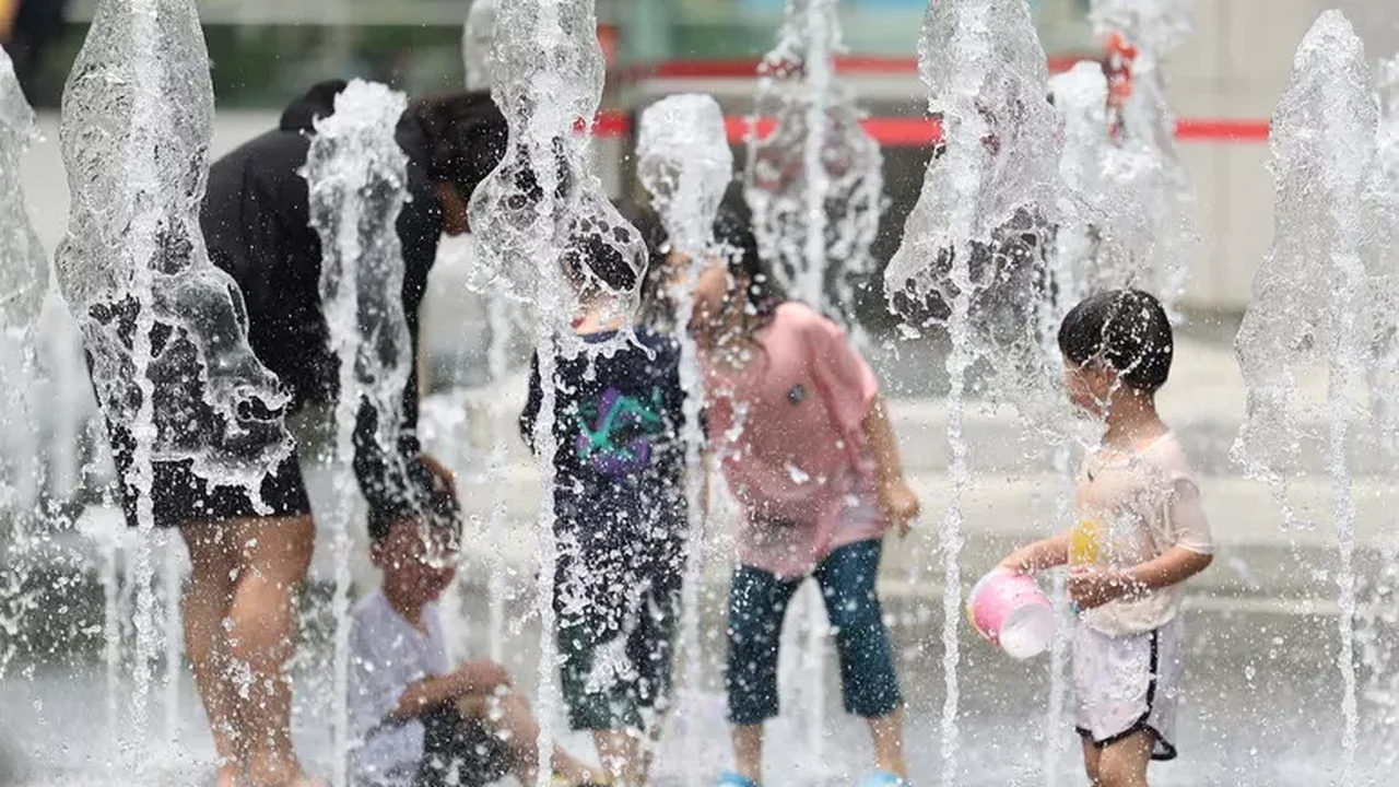 Coreia do Sul vive último verão para consumo de carne de cachorro