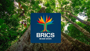 brics / Foto: Secretaria de Comunicação Social/Divulgação