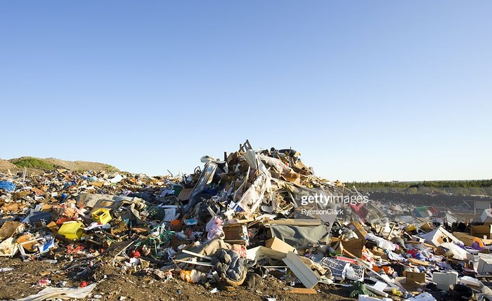 Ação humana  sobre a biodiversidade é devastadora