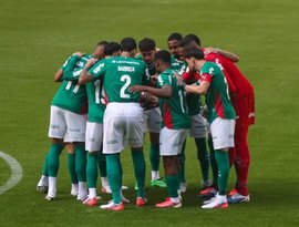 Palmeirenses destacam espírito de luta na Libertadores: 'Quando não dá na técnica, vai na raça'