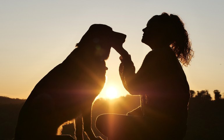 Cuidados anuais garantem a saúde dos cães e gatos