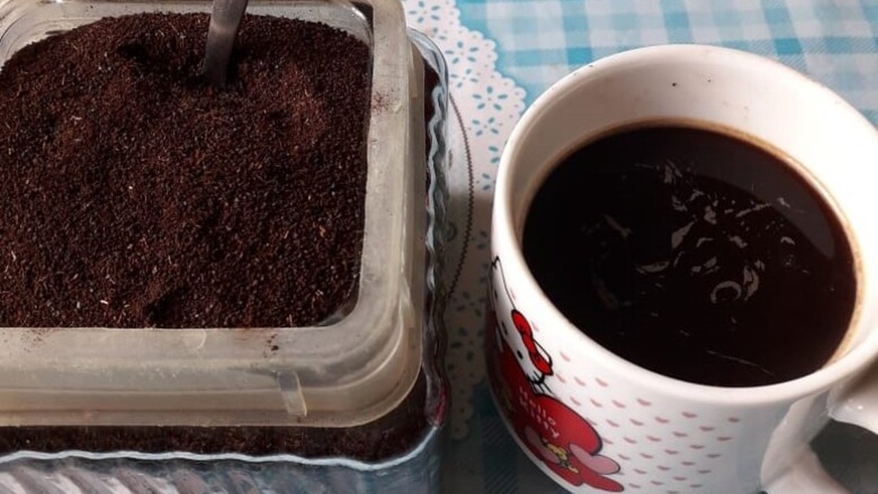 Assentados de Maragogi produzem polpa e café de açaí