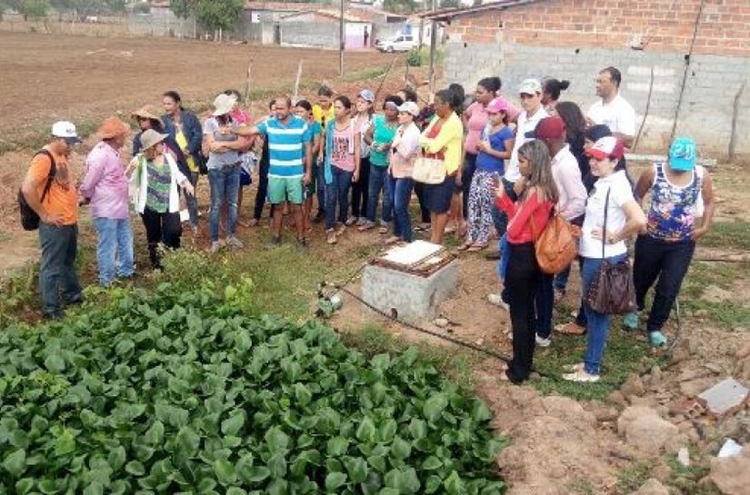 Agricultoras do Alto Sertão conhecem experiência para reaproveitar água