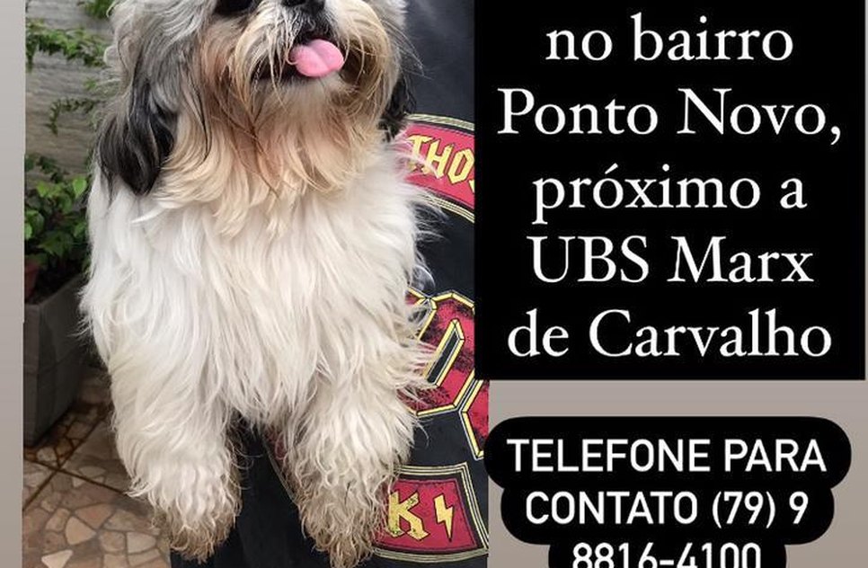 WhatsApp Image 2021-05-10 at 17.20.15.jpeg / Foto: Redes sociais