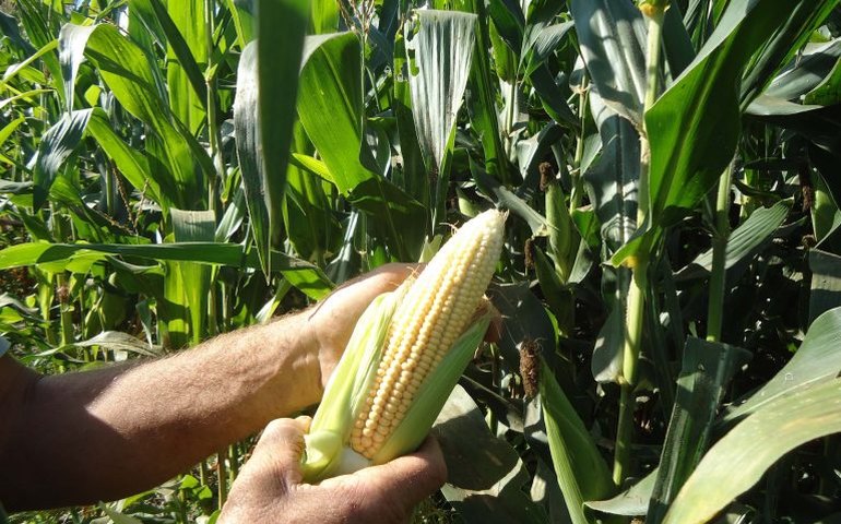 Comissão debate plano de desenvolvimento para região conhecida como Matopiba
