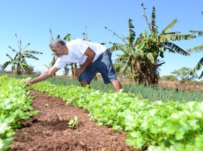 Iteral orienta agricultores sobre renegociação de dívidas do crédito fundiário