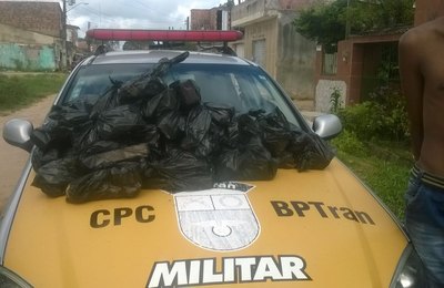 BPTran e BPGD apreendem 27kg de maconha em terreno no Village Campestre