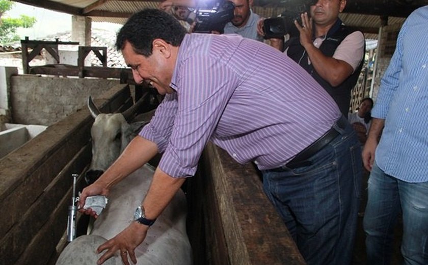 Lançada em Maceió a campanha de vacinação contra febre aftosa