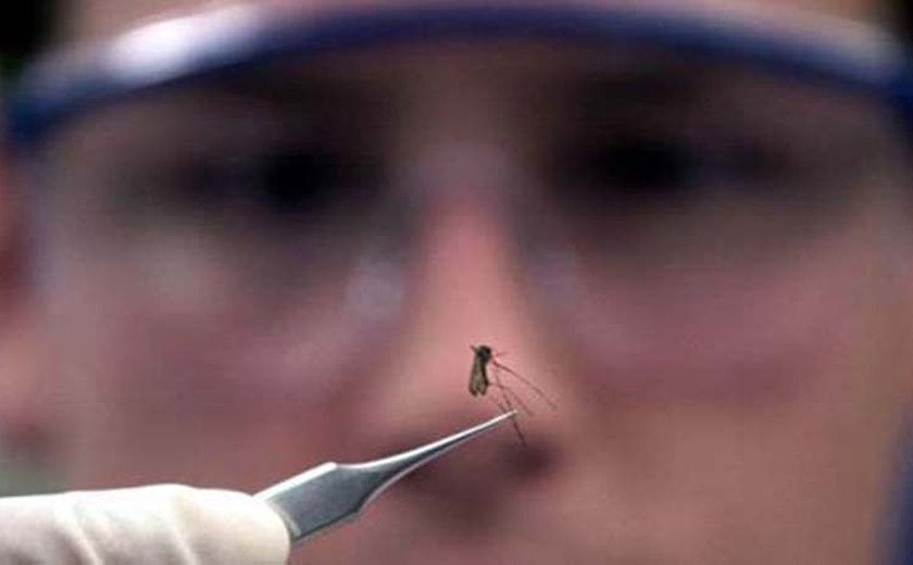 AL tem 24 cidades em alerta ou risco de surto de doenças do Aedes aegypti
