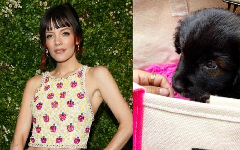 Lily Allen fala que devolveu filhote de cachorro após ele comer passaportes de sua família e causa revolta nas redes
