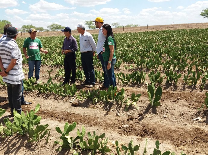 Dia de Campo: Pequenos agricultores aprendem novas técnicas de produção