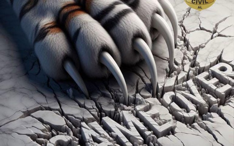 Polícia apreende carros de luxo de suspeitos de promover o chamado ‘Jogo do Tigrinho’