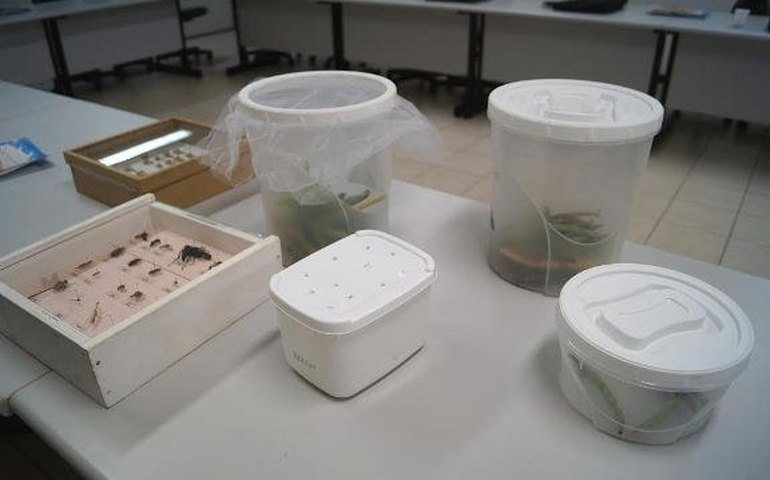 Grupo de trabalho ‘Helicoverpa’ capacita monitores da Emater