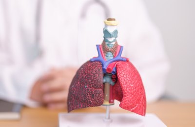 Doenças respiratórias: estudo da Sterilair revela os sintomas mais pesquisados pelos brasileiros no Google