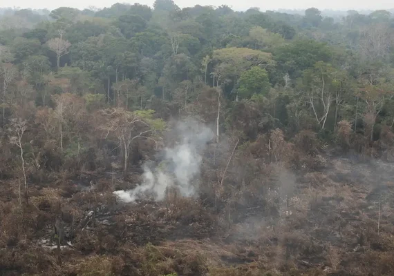 Dino determina que estados da Amazônia expliquem focos de queimadas